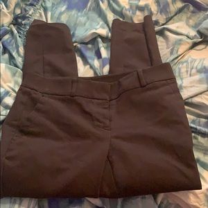 Loft petite black pants